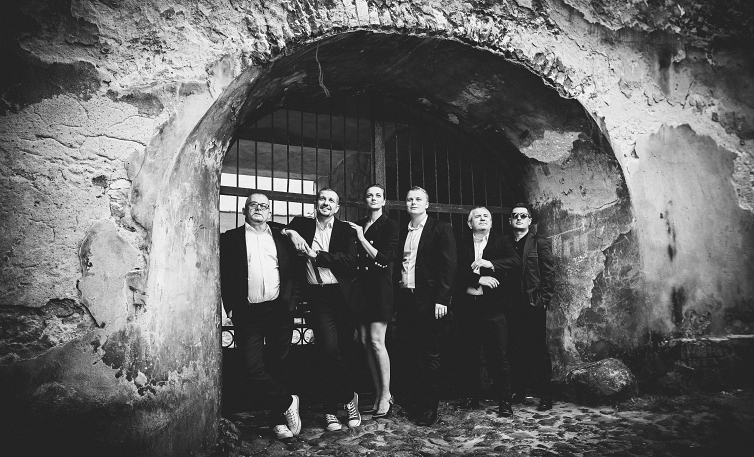 Stokrotki - covery, muzyka na �ywo.